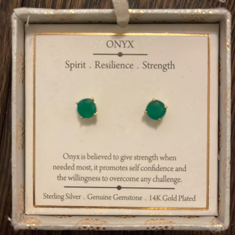 Stunning Shivam Onyx Earrings 💚💚💚